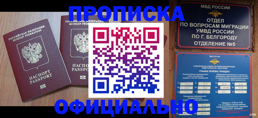 найти адрес прописки в Сураже